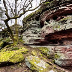 24-03-01 11-28-15 8860